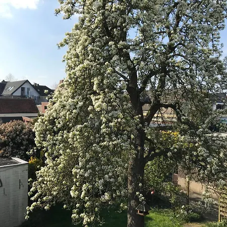 Appartement Kaethe *